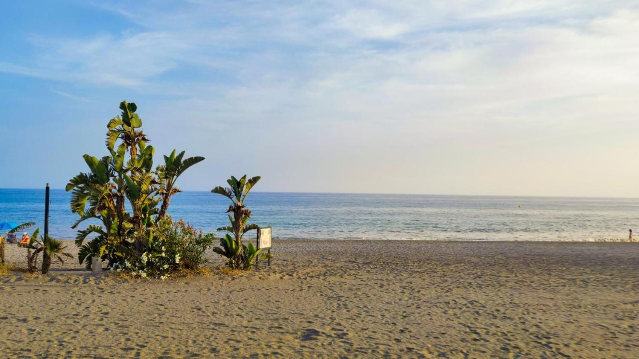 Laguna Paradise - La Torre